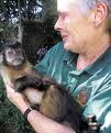 capuchin monkeys for adoption to caring homes